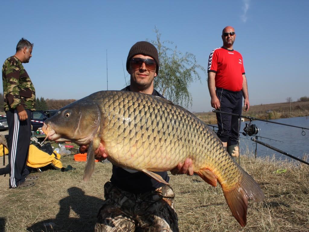 Cupa Iernii MV2 (2) - 2010 - mv2-2010577.jpg